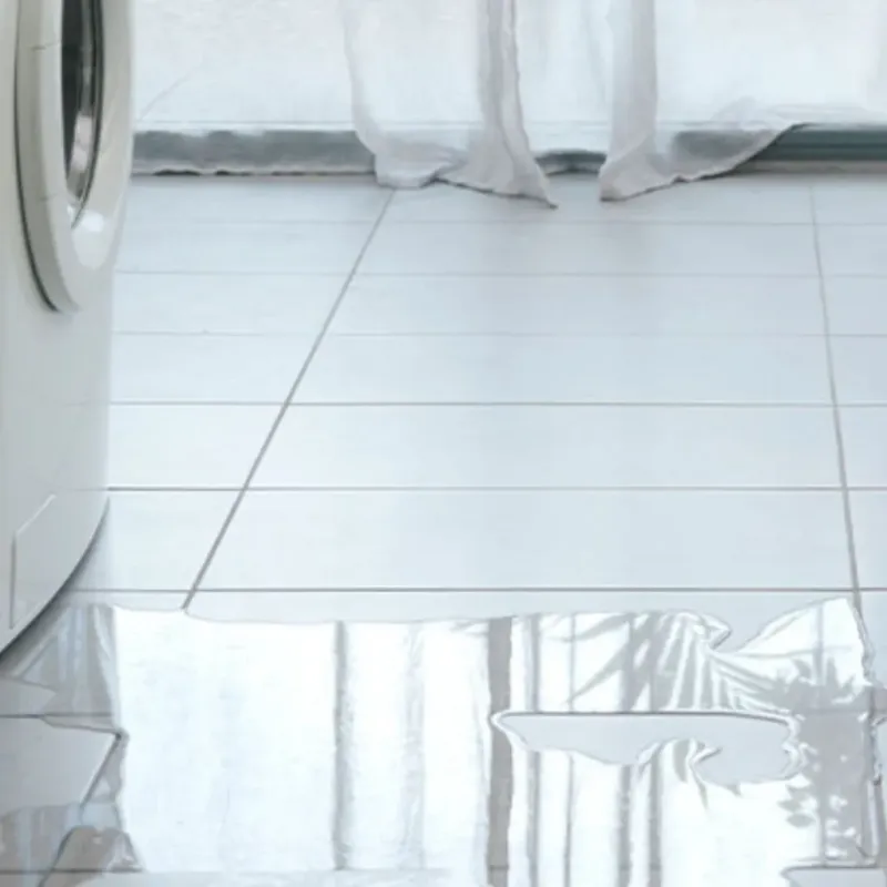 Appliance Leak Cleanup in Amboy, IL