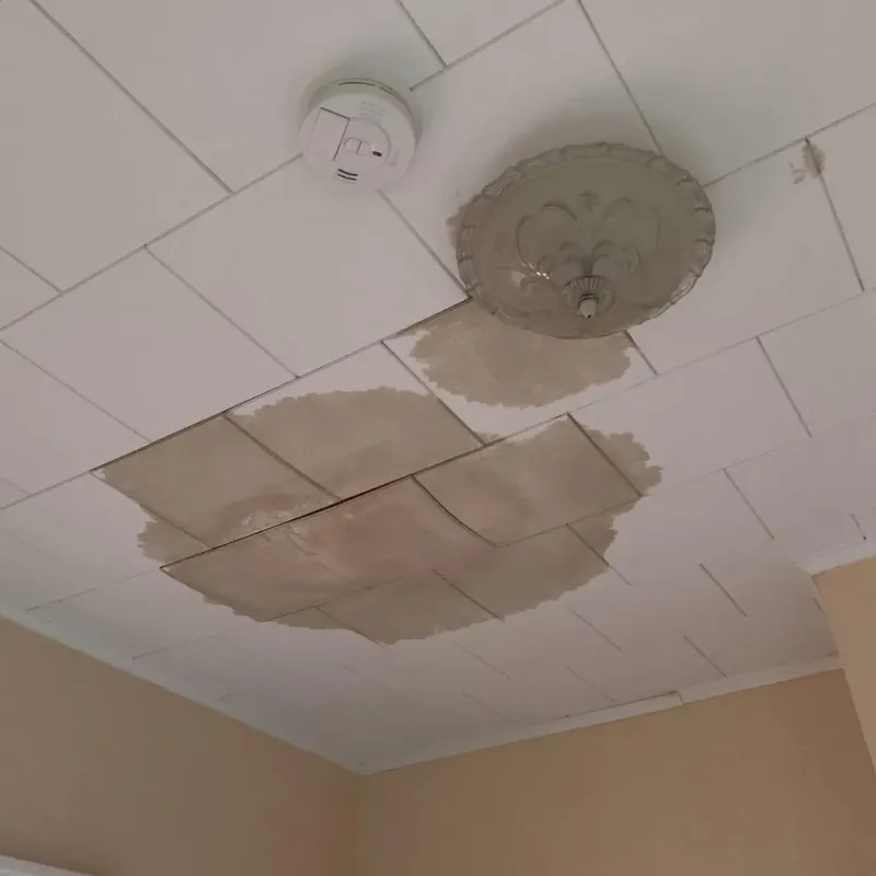 Ceiling Water Damage Repair in Amboy, IL