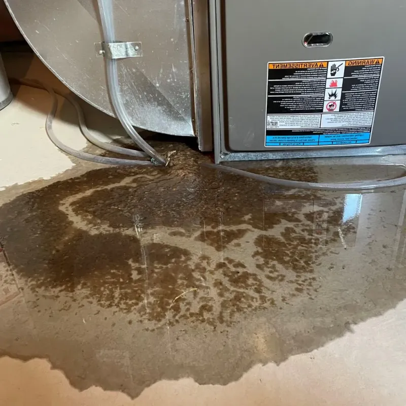 Pipe Burst and Leak Restoration in Amboy, IL