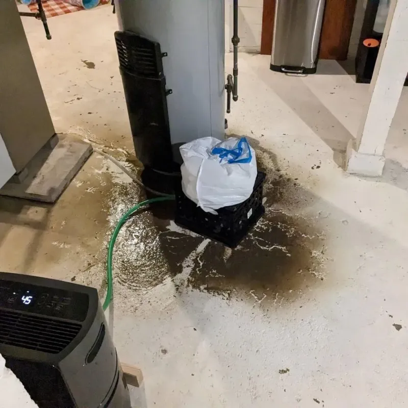Sewage Backup Cleanup Service in Amboy, IL